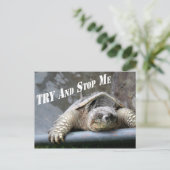 Motivatie Inspirerend Quote Schildpad Afbeelding Briefkaart (Staand voorkant)