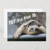 Motivatie Inspirerend Quote Schildpad Afbeelding Briefkaart (Voorkant / Achterkant)