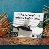Motivatie kat voor hogere doelen fotoplaat (Zijkant)