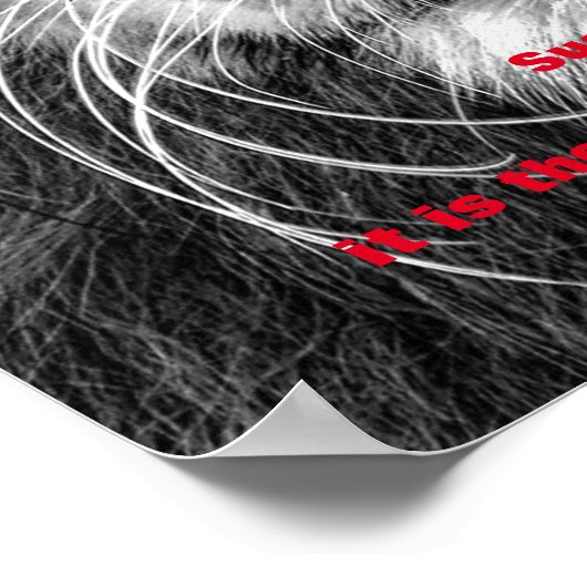 Motivatie leeuwen met zwart/wit poster (Hoek)