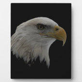 Motivatie leider van de Amerikaanse Eagle Fotoplaat (Voorkant)