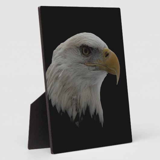 Motivatie leider van de Amerikaanse Eagle Fotoplaat (Zijkant)