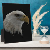 Motivatie leider van de Amerikaanse Eagle Fotoplaat (Zijkant)