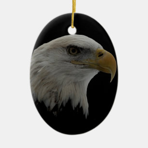 Motivatie leider van de Amerikaanse Eagle Keramisch Ornament