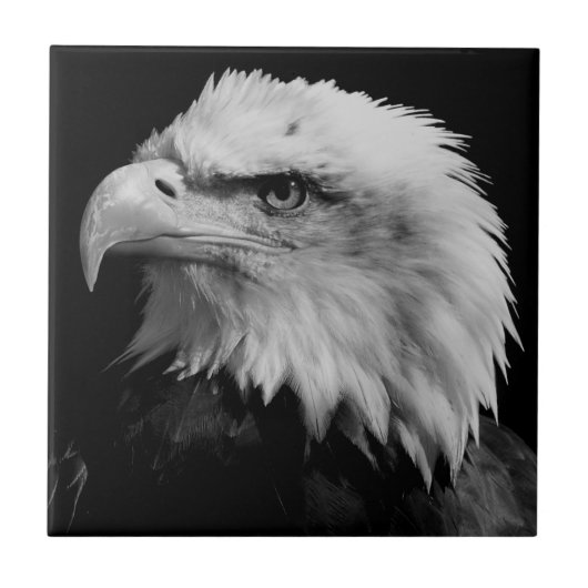 Motivatie leider van de Amerikaanse Eagle Tegeltje (Voorkant)