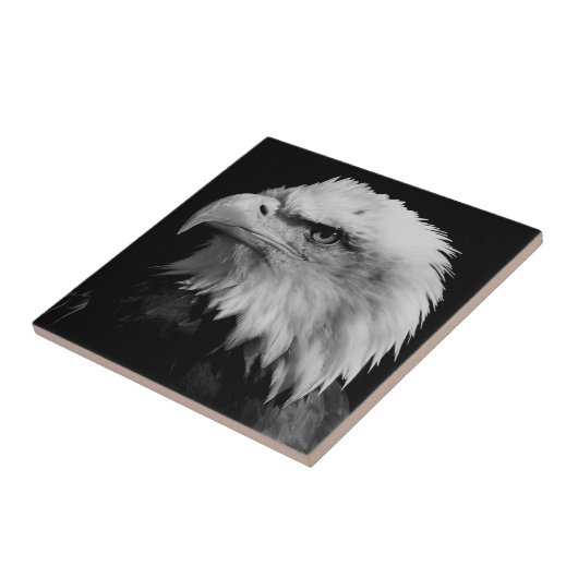 Motivatie leider van de Amerikaanse Eagle Tegeltje (Zijkant)