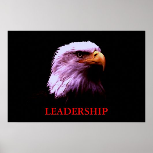 Motivatie leiderschap Eagle Eyes Poster (Voorkant)