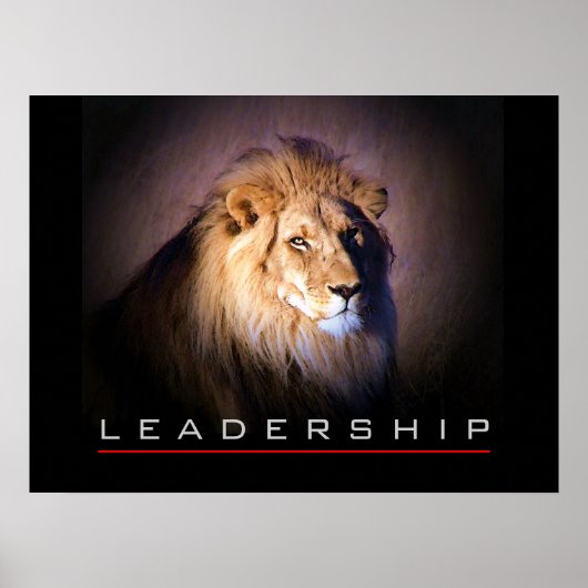 Motivatie leiderschap Gmoedig het Poster van de Le (Voorkant)