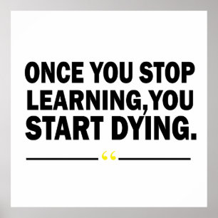 Motivatie lerarenquote poster