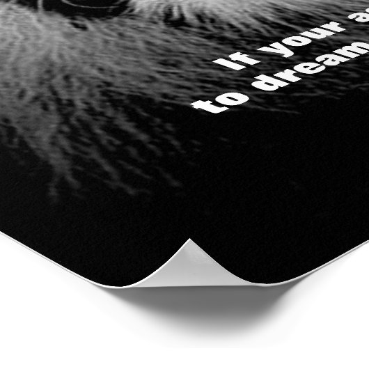 Motivatie lezerspleet poster (Hoek)