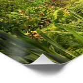 Motivatie offerte - Sintra Portugal Perfect Poster (Hoek)