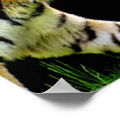 motivatie offerte voor tijgerprestaties poster (Hoek)