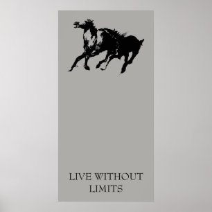 Motivatie paarden leven zonder grenzen poster