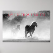Motivatie paarden leven zonder grenzen poster (Voorkant)
