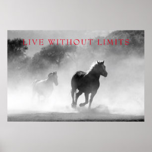 Motivatie paarden leven zonder grenzen poster