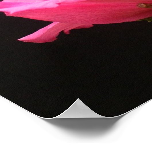 Motivatie Poster (Hoek)