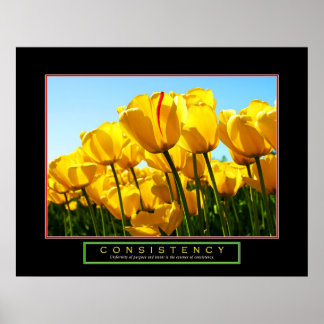 Motivatie Poster - "Consistentie" - 22 x 28"