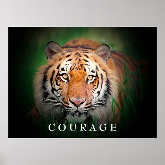 Motivatie Poster Courage Tiger (Voorkant)