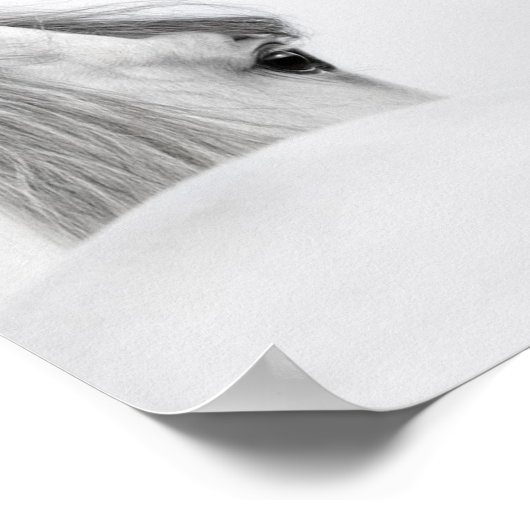 Motivatie Poster "Het Geheime leven..." (Hoek)