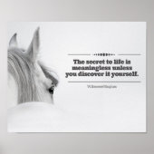 Motivatie Poster "Het Geheime leven..." (Voorkant)