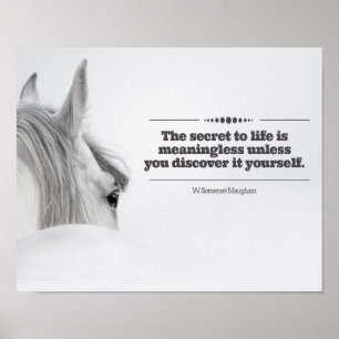 Motivatie Poster "Het Geheime leven..."