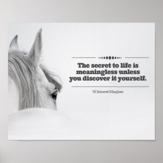 Motivatie Poster "Het Geheime leven..."