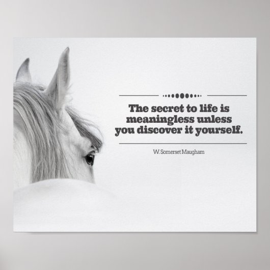 Motivatie Poster "Het Geheime leven..." (Voorkant)