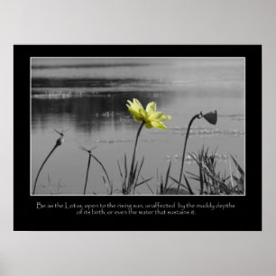 Motivatie Poster Lotus en Dragonflies