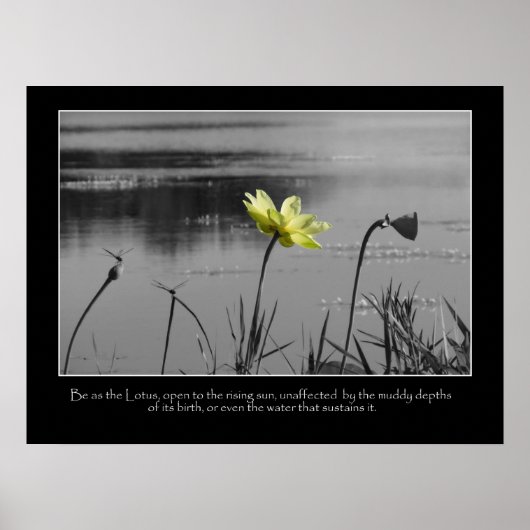 Motivatie Poster Lotus en Dragonflies (Voorkant)