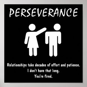 MOTIVATIE POSTER ~ PERSEVERING