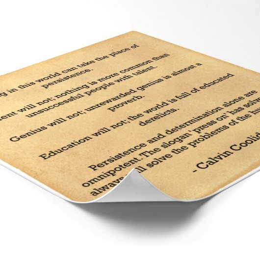 Motivatie Poster - PErsistance (Hoek)