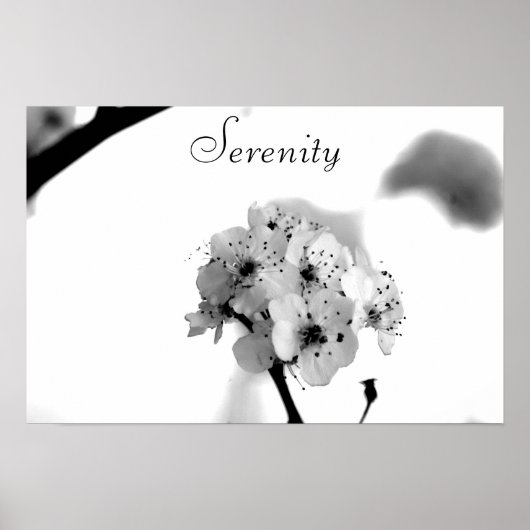 Motivatie Poster-Sereniteit Poster (Voorkant)