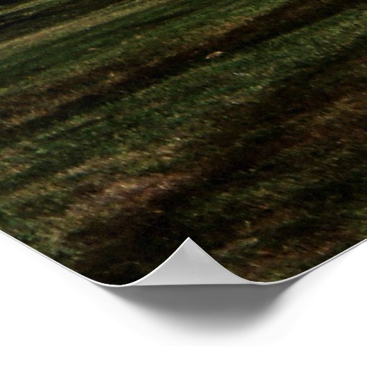 Motivatie Poster stimuleren (Hoek)