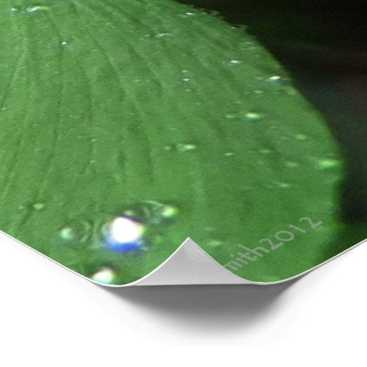 Motivatie Poster van Fern en Raindrops (Hoek)