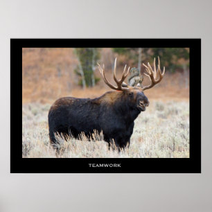 Motivatie Poster voor Moose and Squirrel "TEAMWORK