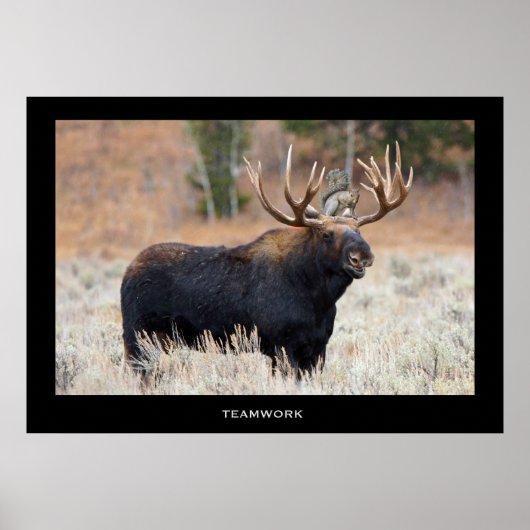 Motivatie Poster voor Moose and Squirrel "TEAMWORK (Voorkant)