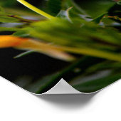 Motivatie Poster voor nuttige toepassing (Hoek)