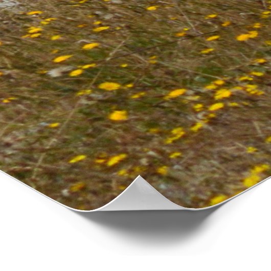 Motivatie Poster voor nuttige toepassing (Hoek)