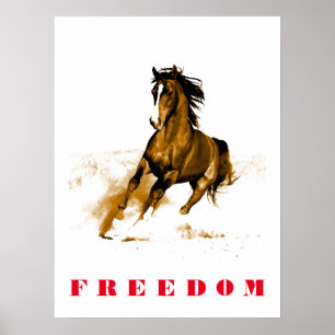 Motivatie Poster voor paarden
