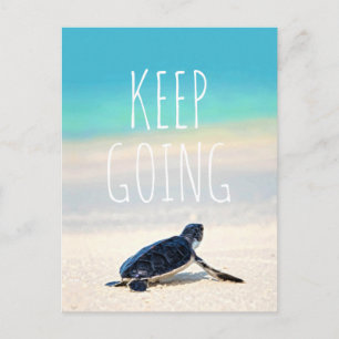 Motivatie prijsopgave: blijf op een Turtle Post Ca Briefkaart