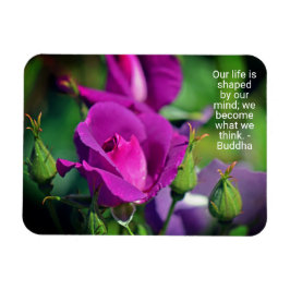 Motivatie prijsopgave voor Paarse budgettering Roo Magneet