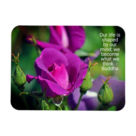 Motivatie prijsopgave voor Paarse budgettering Roo Magneet (Horizontaal)