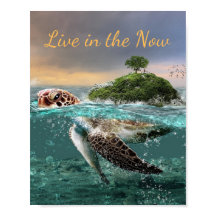 Motivatie prijsopgave voor schildpadden live in de
