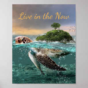 Motivatie prijsopgave voor schildpadden live in de poster