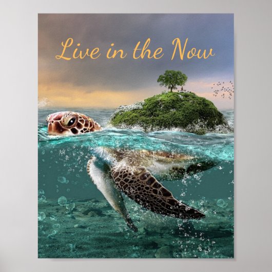 Motivatie prijsopgave voor schildpadden live in de poster (Voorkant)