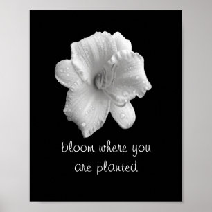 motivatie quote poster lily b&w fotografie