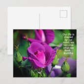 Motivatie Roos van het Paarse Boedende Briefkaart  (Voorkant / Achterkant)