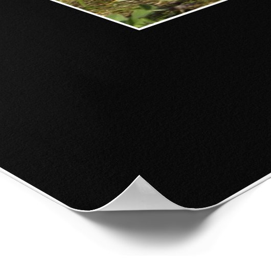 Motivatie standaard Poster (Hoek)