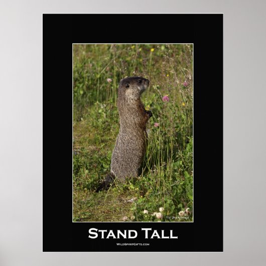 Motivatie standaard Poster (Voorkant)