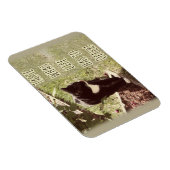 Motivatie toet van het Kat van het Leven Citaat Ku Magneet (Rechterzijde)